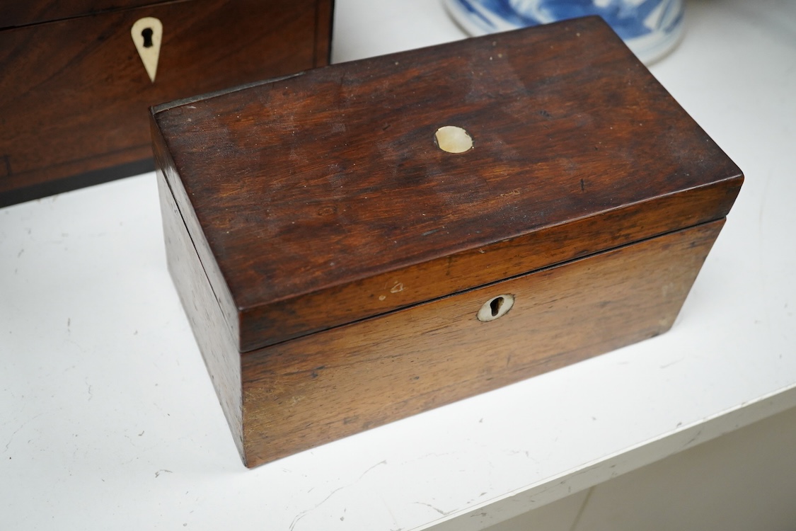 Two 19th century mahogany tea caddies, one with bone escutcheon, largest 20cm wide